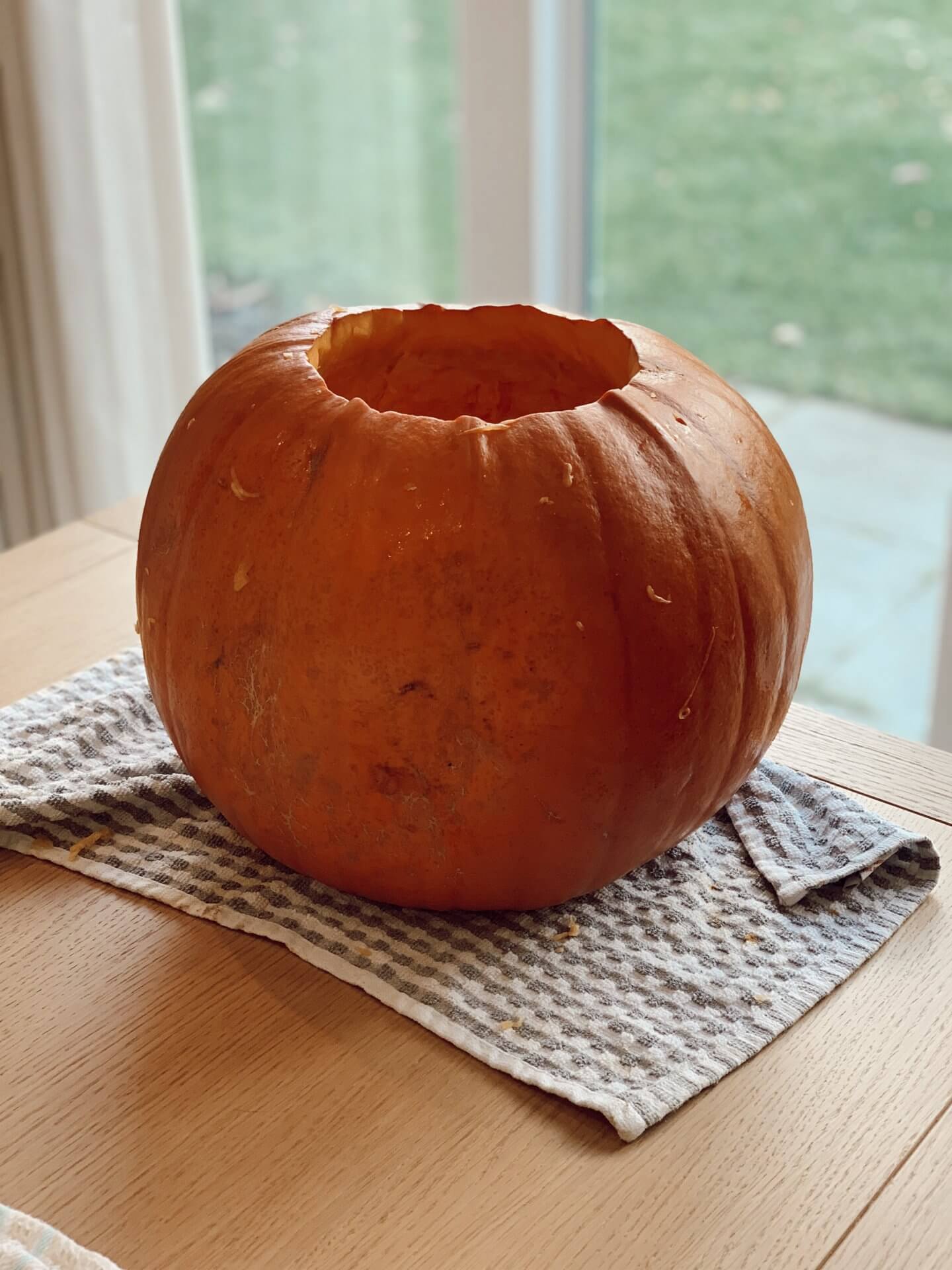 Pumpkin Pie and Pumpkin Soup